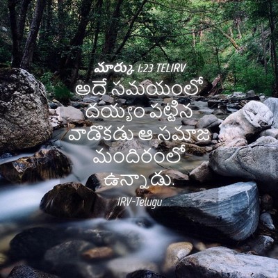 Picture 04 - మార్కు 1:23 TELIRV - అదే సమయంలో దయ్యం - Bible Verse Picture