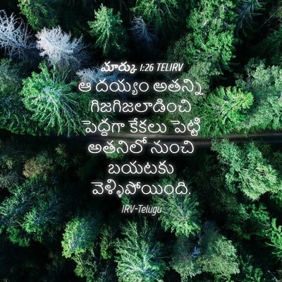 Picture 04 - మార్కు 1:26 TELIRV - ఆ దయ్యం అతన్ని - Bible Verse Picture
