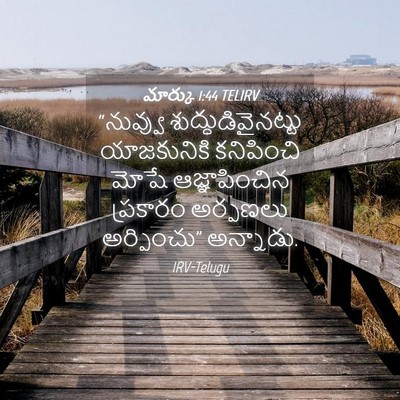 Picture 04 - మార్కు 1:44 TELIRV - “నువ్వు - Bible Verse Picture