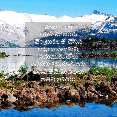 Picture 04 - మార్కు 1:6 TELIRV - యోహాను ఒంటె - Bible Verse Picture