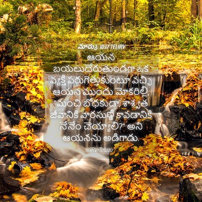 Picture 04 - మార్కు 10:17 TELIRV - ఆయన - Bible Verse Picture