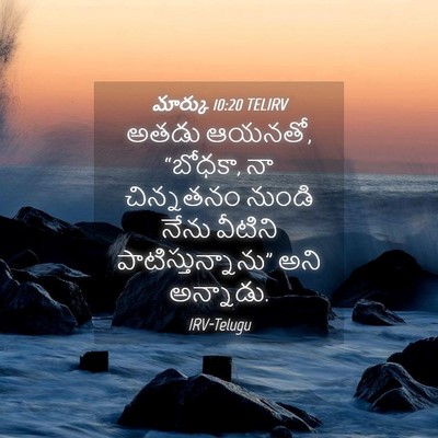 Picture 04 - మార్కు 10:20 TELIRV - అతడు ఆయనతో, “బోధకా, - Bible Verse Picture