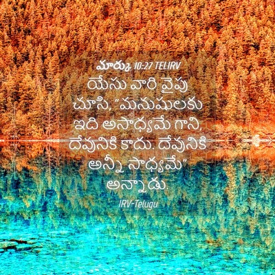 Picture 04 - మార్కు 10:27 TELIRV - యేసు వారి వైపు - Bible Verse Picture