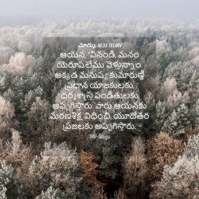 Picture 04 - మార్కు 10:33 TELIRV - ఆయన, “వినండి, మనం - Bible Verse Picture