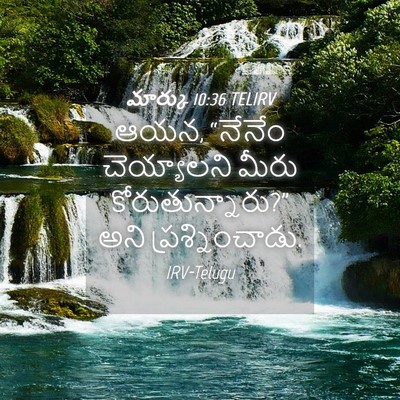 Picture 04 - మార్కు 10:36 TELIRV - ఆయన, “నేనేం - Bible Verse Picture