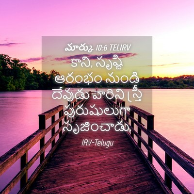 Picture 04 - మార్కు 10:6 TELIRV - కాని, సృష్టి ఆరంభం - Bible Verse Picture