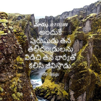 Picture 04 - మార్కు 10:7 TELIRV - అందుకే పురుషుడు - Bible Verse Picture