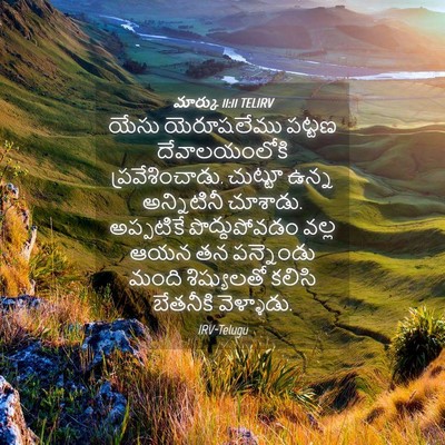 Picture 04 - మార్కు 11:11 TELIRV - యేసు యెరూషలేము - Bible Verse Picture