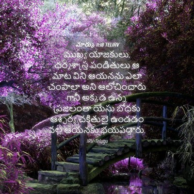 Picture 04 - మార్కు 11:18 TELIRV - ముఖ్య యాజకులు, - Bible Verse Picture