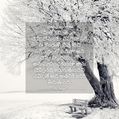 Picture 04 - మార్కు 11:23 TELIRV - మీతో కచ్చితంగా - Bible Verse Picture