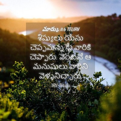 Picture 04 - మార్కు 11:6 TELIRV - శిష్యులు యేసు - Bible Verse Picture