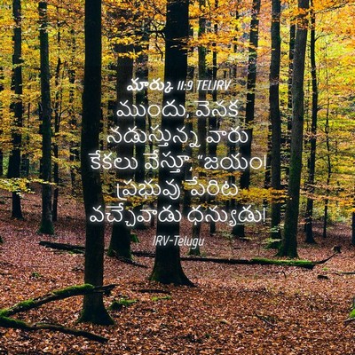Picture 04 - మార్కు 11:9 TELIRV - ముందు, వెనక - Bible Verse Picture