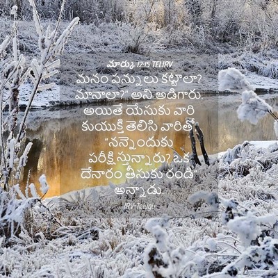 Picture 04 - మార్కు 12:15 TELIRV - మనం పన్నులు - Bible Verse Picture