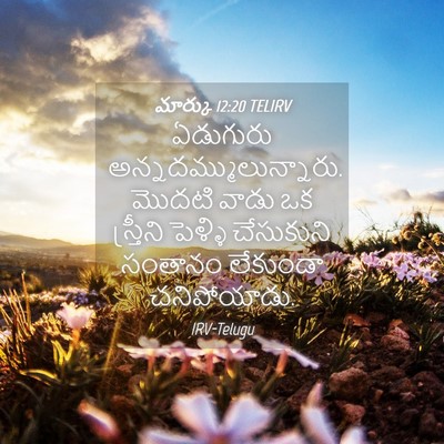 Picture 04 - మార్కు 12:20 TELIRV - ఏడుగురు - Bible Verse Picture