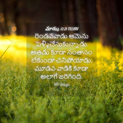 Picture 04 - మార్కు 12:21 TELIRV - రెండవవాడు ఆమెను - Bible Verse Picture
