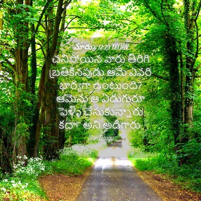 Picture 04 - మార్కు 12:23 TELIRV - చనిపోయిన వారు - Bible Verse Picture