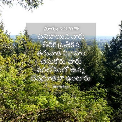 Picture 04 - మార్కు 12:25 TELIRV - చనిపోయిన వారు - Bible Verse Picture