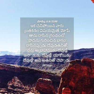 Picture 04 - మార్కు 12:26 TELIRV - ఇక చనిపోయిన వారు - Bible Verse Picture