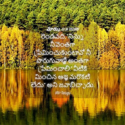 Picture 04 - మార్కు 12:31 TELIRV - రెండవది, ‘నిన్ను - Bible Verse Picture