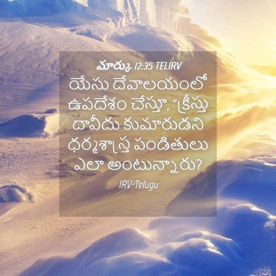 Picture 04 - మార్కు 12:35 TELIRV - యేసు దేవాలయంలో - Bible Verse Picture