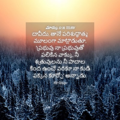 Picture 04 - మార్కు 12:36 TELIRV - దావీదు, తానే - Bible Verse Picture