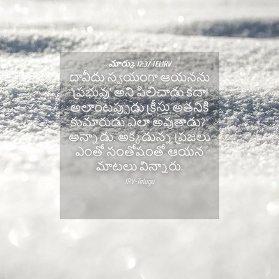 Picture 04 - మార్కు 12:37 TELIRV - దావీదు స్వయంగా - Bible Verse Picture