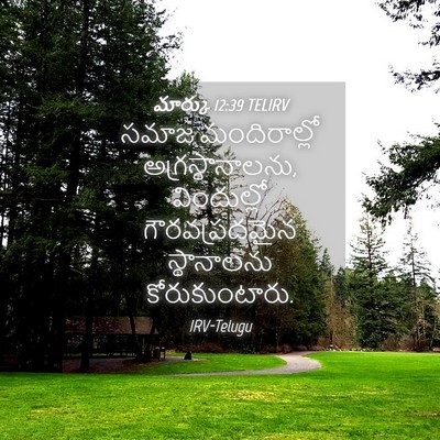 Picture 04 - మార్కు 12:39 TELIRV - సమాజ మందిరాల్లో - Bible Verse Picture