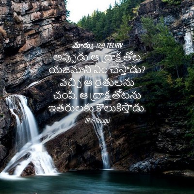 Picture 04 - మార్కు 12:9 TELIRV - అప్పుడు ఆ - Bible Verse Picture