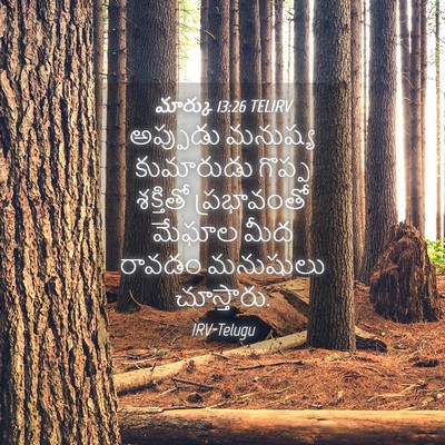 Picture 04 - మార్కు 13:26 TELIRV - అప్పుడు మనుష్య - Bible Verse Picture