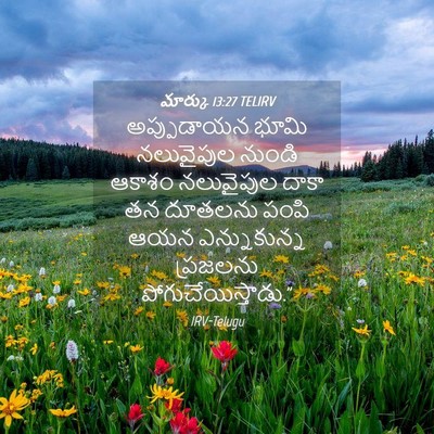 Picture 04 - మార్కు 13:27 TELIRV - అప్పుడాయన భూమి - Bible Verse Picture