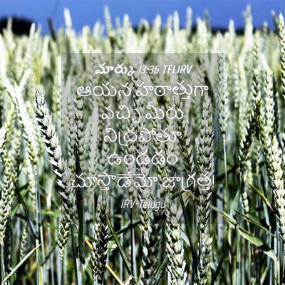 Picture 04 - మార్కు 13:36 TELIRV - ఆయన హఠాత్తుగా - Bible Verse Picture
