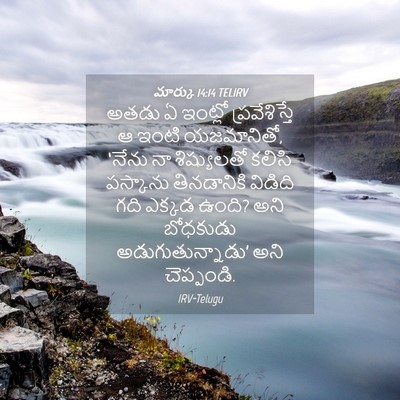 Picture 04 - మార్కు 14:14 TELIRV - అతడు ఏ ఇంట్లో - Bible Verse Picture