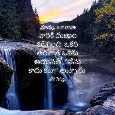 Picture 04 - మార్కు 14:19 TELIRV - వారికి దుఃఖం - Bible Verse Picture