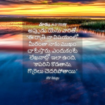 Picture 04 - మార్కు 14:27 TELIRV - అప్పుడు యేసు - Bible Verse Picture