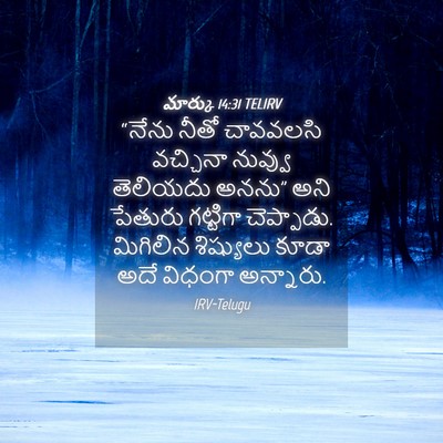 Picture 04 - మార్కు 14:31 TELIRV - “నేను నీతో - Bible Verse Picture