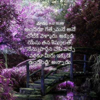 Picture 04 - మార్కు 14:32 TELIRV - అందరూ గేత్సేమనే - Bible Verse Picture