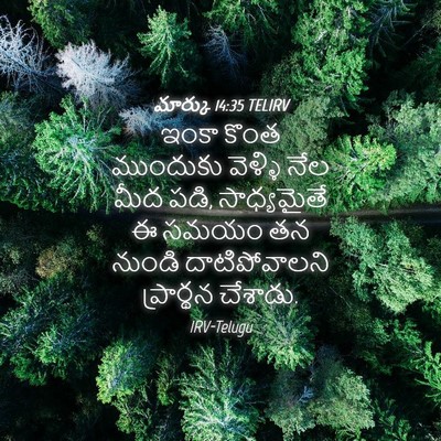 Picture 04 - మార్కు 14:35 TELIRV - ఇంకా కొంత ముందుకు - Bible Verse Picture