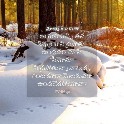 Picture 04 - మార్కు 14:37 TELIRV - ఆయన వచ్చి తన - Bible Verse Picture