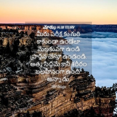Picture 04 - మార్కు 14:38 TELIRV - మీరు పరీక్షకు - Bible Verse Picture