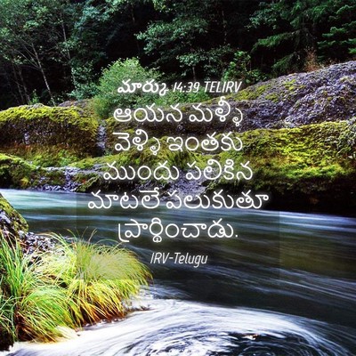 Picture 04 - మార్కు 14:39 TELIRV - ఆయన మళ్ళీ వెళ్ళి - Bible Verse Picture