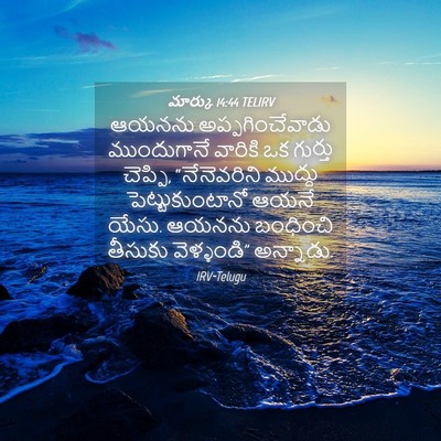 Picture 04 - మార్కు 14:44 TELIRV - ఆయనను - Bible Verse Picture