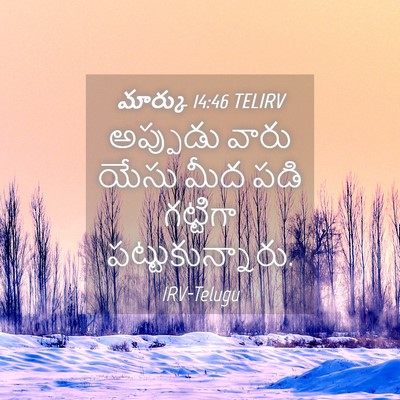 Picture 04 - మార్కు 14:46 TELIRV - అప్పుడు వారు యేసు - Bible Verse Picture