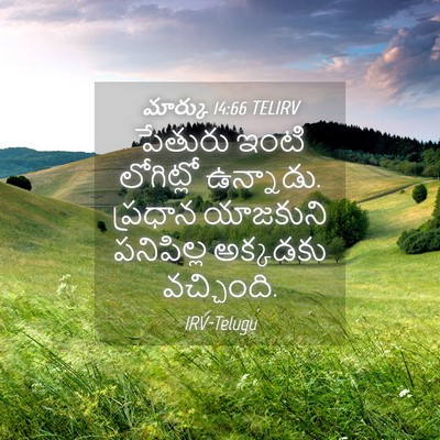 Picture 04 - మార్కు 14:66 TELIRV - పేతురు ఇంటి - Bible Verse Picture