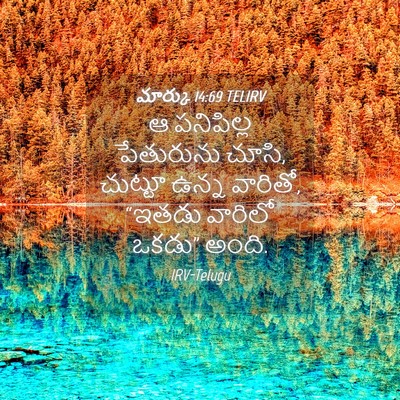 Picture 04 - మార్కు 14:69 TELIRV - ఆ పనిపిల్ల - Bible Verse Picture