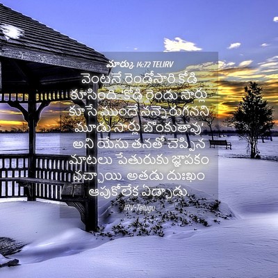 Picture 04 - మార్కు 14:72 TELIRV - వెంటనే రెండోసారి - Bible Verse Picture