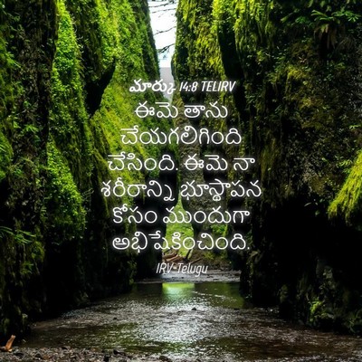 Picture 04 - మార్కు 14:8 TELIRV - ఈమె తాను - Bible Verse Picture