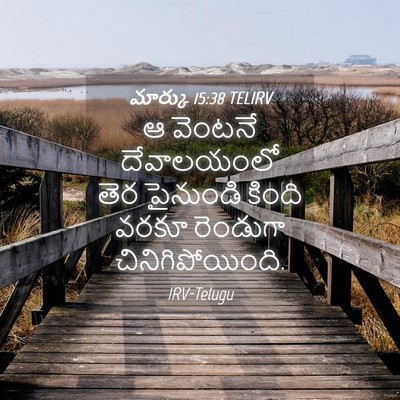 Picture 04 - మార్కు 15:38 TELIRV - ఆ వెంటనే - Bible Verse Picture