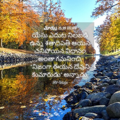 Picture 04 - మార్కు 15:39 TELIRV - యేసు ఎదుట నిలబడి - Bible Verse Picture