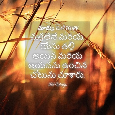 Picture 04 - మార్కు 15:47 TELIRV - మగ్దలేనే మరియ, - Bible Verse Picture