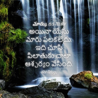 Picture 04 - మార్కు 15:5 TELIRV - అయినా యేసు మారు - Bible Verse Picture
